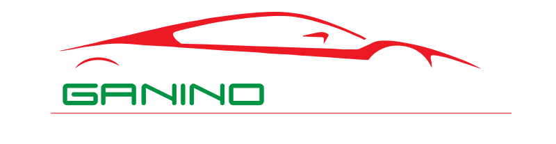 Ganino Motori